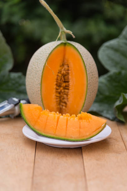 piece of fresh orange melon on the plate