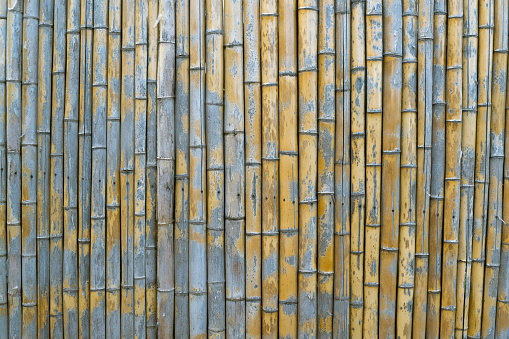Fence made from bamboo trunks. Backgrounds and textures. Details and elements.