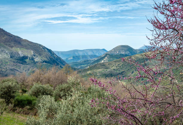 Spring in the Albanian mountains