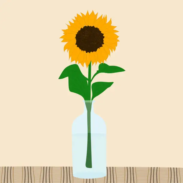 Vector illustration of sunflower