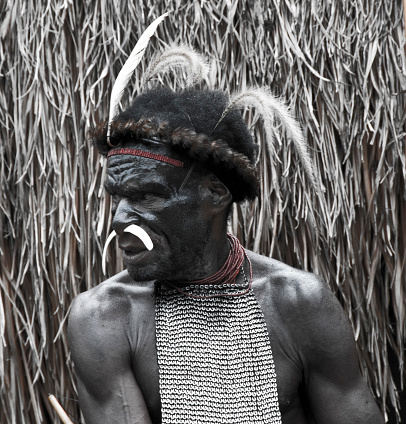 Baliem Valley, Wamena, West Papua, Indonesia - oct 30,2010 : portrait of a Dani warrior with his menacing appearance during a break in a traditional ceremony in a village in the Baliem Valley, near Wamena, West Papua