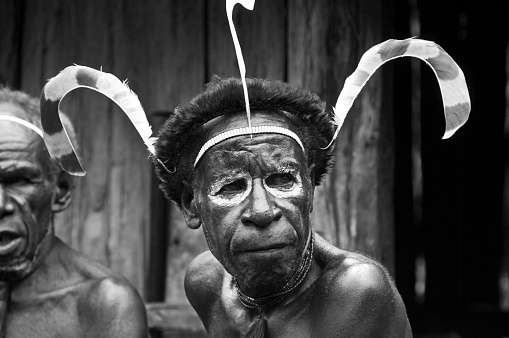 Baliem Valley, Wamena, West Papua, Indonesia - oct 30,2010 :  a headmaster Dani shows a traditional hairstyle with feathers and tribal colors on face, in  Dugum Hills, Baliem Valley, West Papua