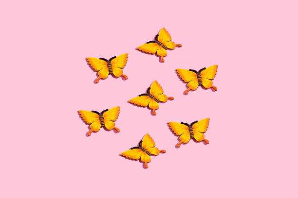 Pattern made of yellow butterflies on a pink background. Spring or summertime idea with copy space