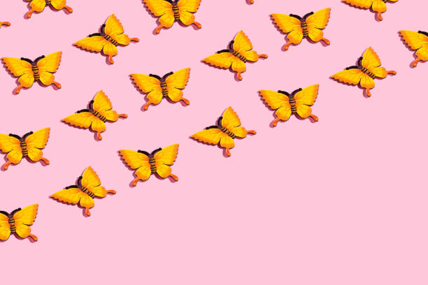 Pattern made of yellow butterflies on a pink background. Spring or summertime idea with copy space
