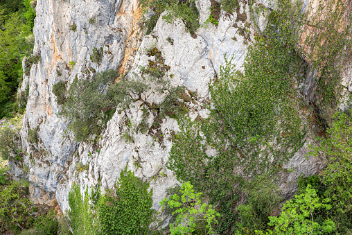 Deep canyon carved by the Salazar River in the limestone rock of the Sierra de Leyre, La Foz de Arbayún, Navarra, Spain