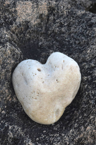 istock White Naturally Rounded Heart Shaped Stone in Aruba 2098781854