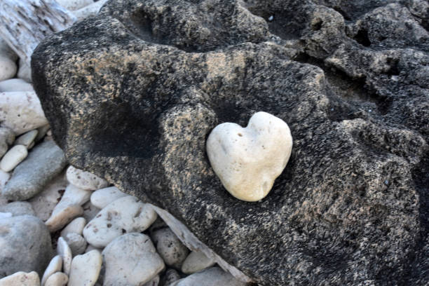 Stunning heart shaped stone with a black and white contrast.