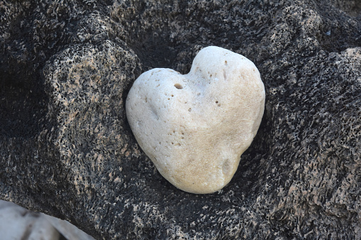 Surf tumbled beautiful natural heart shaped stone on a big rock.