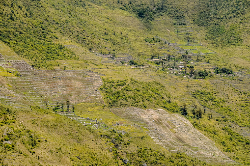 View of Dani villages and sweet potato fields on the green hills around Wamena in West Papua