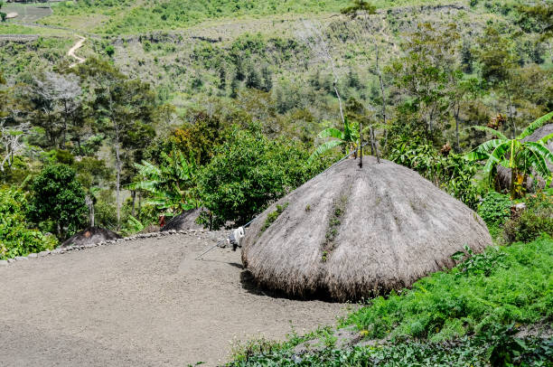 istock Dani people village in West Papua 2098789187