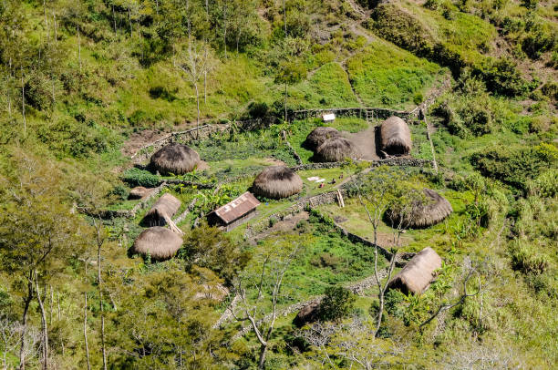 istock Dani people village in West Papua 2098790250