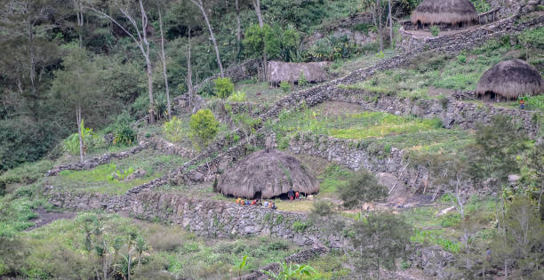 istock Dani people village with potataoe fields 2098791322