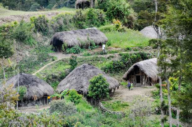 istock Dani people village with potataoe fields 2098793917