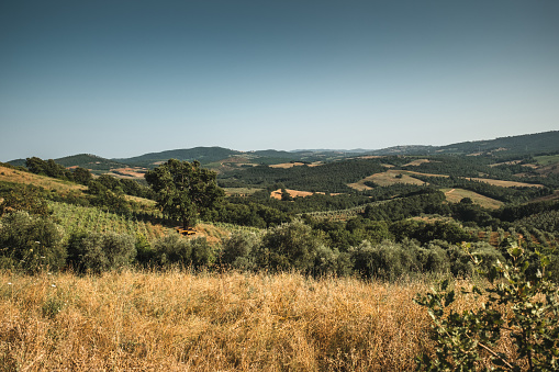 tuscany hills in Maremma