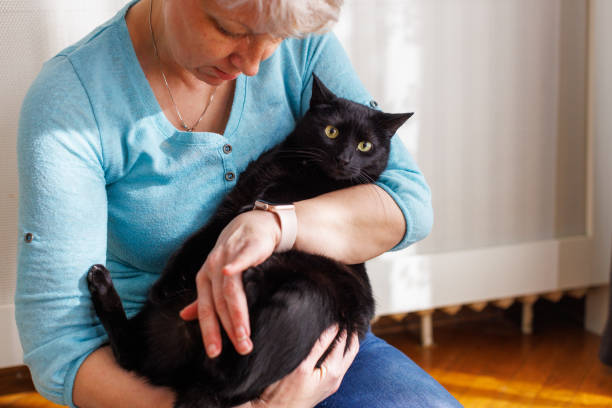 istock Woman Enjoying A Cuddle With Cat 2098837349