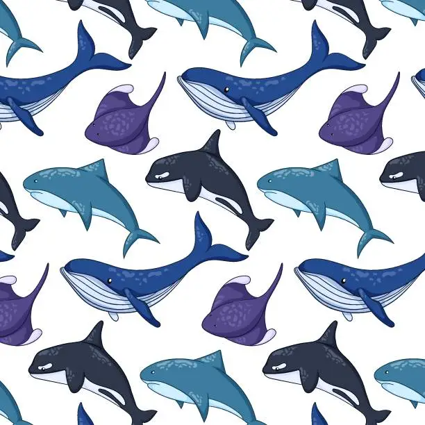 Vector illustration of Cartoon undersea and ocean animals seamless pattern. Wild marine creatures life shark, blue whale, stingray and killer whale. Vector illustration on a white background.