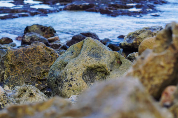 Abstract background with coastal pebbles. Round large sea stones on the shore of the sea, lake or river. The concept of travel and tourism