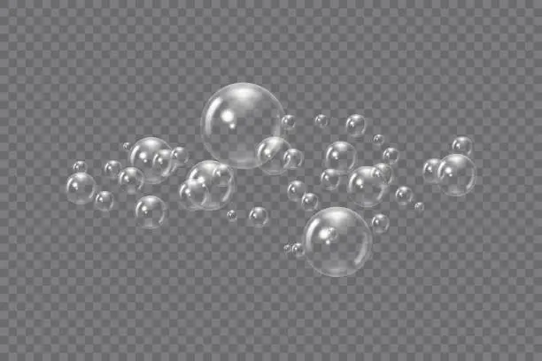 Vector illustration of 3d Flying transparent Realistic soap bubbles. Vector illustration