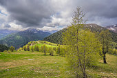 Nockberge nature reserve landscape in Carinthia