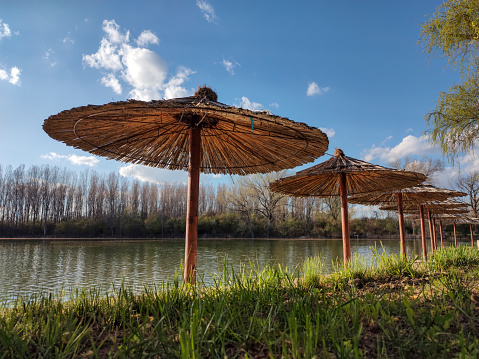 Row of wooden umbrellas at grass beach, sea and blue sky