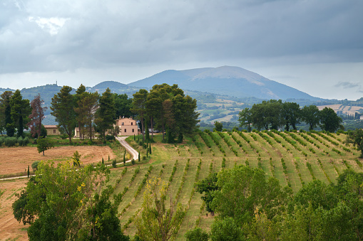 Rural landscape near Perugia, Umbria, Italy, at summer