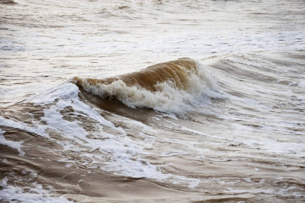 Olas en una playa de arena durante una tormenta en el Mar Negro - foto de stock