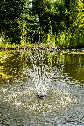 Beautiful cascading fountain in garden pond against blurred background of evergreens. Selective focus. Sun is reflected in greenish water. Atmosphere of relaxation, tranquility and happiness.