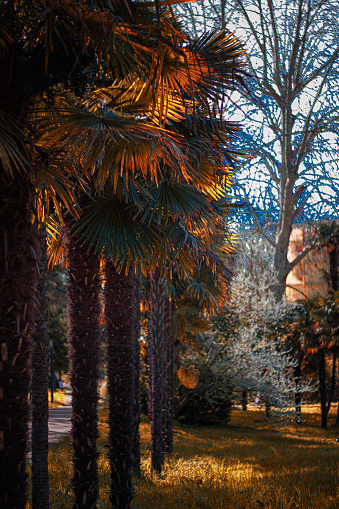 Walk by a park in Toulouse