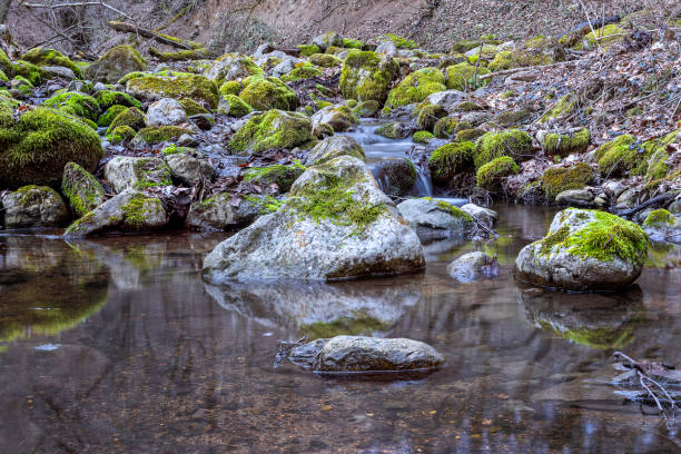 Scenic landscape with lush green plants in warm water flowing through canyon in winter. Vibrant green plants growing in warm flowing water with surounding cold winter conditions.