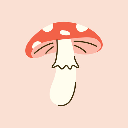 Cute hand drawn amanita with line details. Poisonous spotted mushroom. Abstract fly agaric. Vector illustration