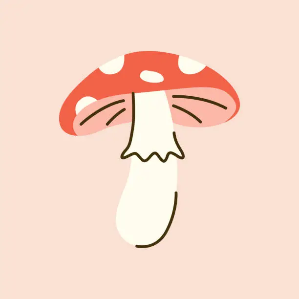 Vector illustration of Cute hand drawn amanita with line details. Poisonous spotted mushroom