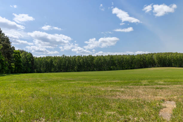 istock cereal growing business in eastern europe 2099064723