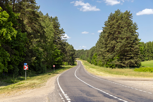 paved road with trees in the forest in sunny weather, trees along the paved road for cars