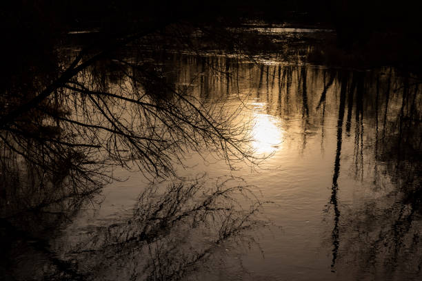 the river and the trees without foliage after the snow melts in winter, the river at sunset in the winter season