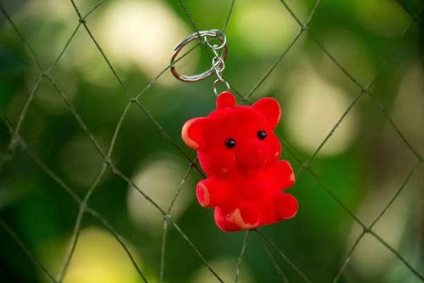 istock Red bear pendant on a key chain hanging on a fence 2099095379