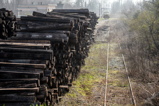 Container train in the track shipping yard. Cargo train moving in the container terminal. Freight Train Car Block Assembly in Container Terminal