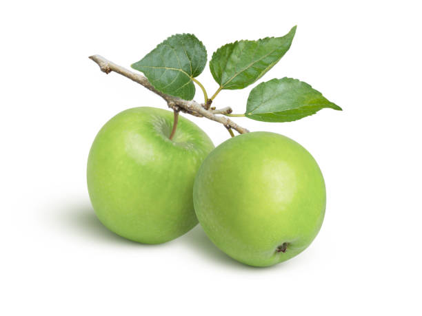 istock green granny smith apples hang on branch 2099124801