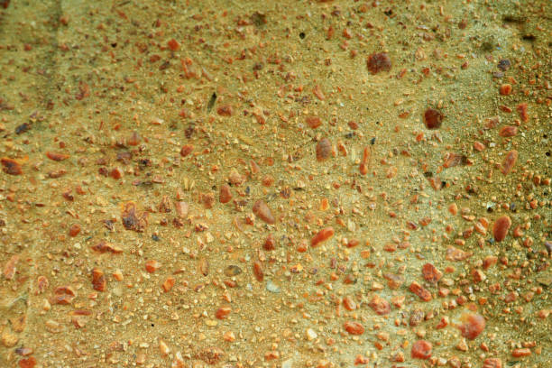 cement texture with striking yellow stone grains. for background and wallpaper
