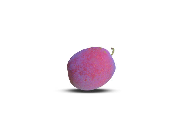 Prunus domestica is edible and usually sweet, though some varieties are sour and made from fruits of this species.