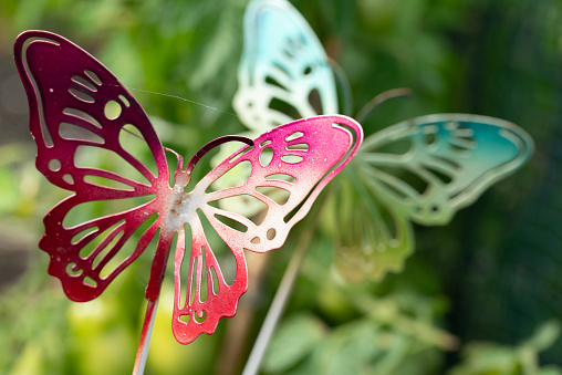Three pollinating insects, butterflies, are perched on a stick in a garden. These arthropods are important for plant reproduction and come in various colors like pink