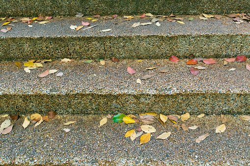 Yellow fallen leaves on the stairs in the park. Autumn landscape. Autumn background.