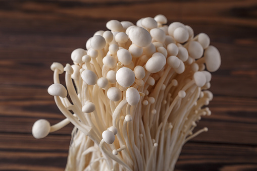 Enoki mushroom, Golden needle mushroom group of golden needle Mushroom.Enoki, also known as velvet shank, is a species of edible mushroom in the family Physalacriaceae.