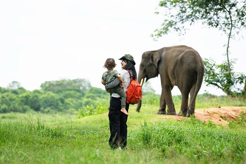 way kambas National Reserve Sumatra, asian Woman with her child  observing elephants in the wild