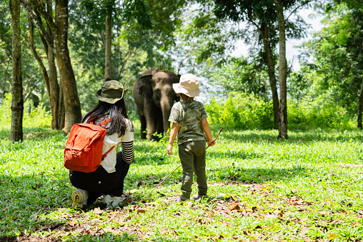 way kambas National Reserve Sumatra, asian Woman with her child  observing elephants in the wild