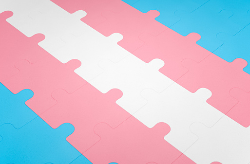 Full frame background of an LGBTQ+ pride flag shaped like a jigsaw puzzle. Close-up of the transgender pride flag. Every color is its own row of puzzle pieces.