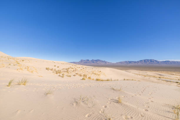 istock Sand dunes in California in the daylight 2099275952