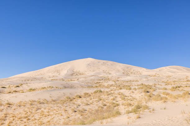 Under the radiant daylight, the sand dunes in California stretch out endlessly, their golden hues shimmering under the sun's gentle caress. Sculpted by the wind, the dunes rise and fall in graceful curves, casting ever-shifting shadows that dance across the landscape. Each ripple in the sand tells a story of time and erosion, while distant mountains stand sentinel against the vast expanse of the desert. In this tranquil oasis, the dunes beckon adventurers and wanderers alike to explore their timeless beauty.
