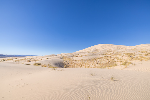 Under the radiant daylight, the sand dunes in California stretch out endlessly, their golden hues shimmering under the sun's gentle caress. Sculpted by the wind, the dunes rise and fall in graceful curves, casting ever-shifting shadows that dance across the landscape. Each ripple in the sand tells a story of time and erosion, while distant mountains stand sentinel against the vast expanse of the desert. In this tranquil oasis, the dunes beckon adventurers and wanderers alike to explore their timeless beauty.