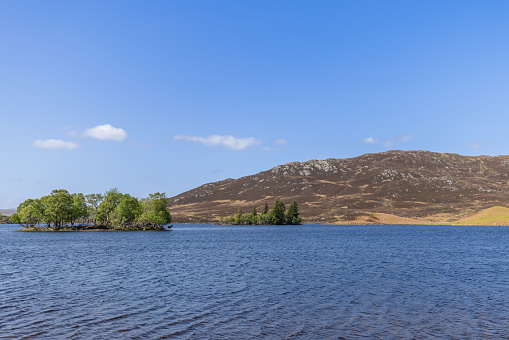Scottish loch embrace an island lush with trees, set against a backdrop of gentle hills. Hidden from view, two red deer inhabit this peaceful haven, merging seamlessly with their surroundings
