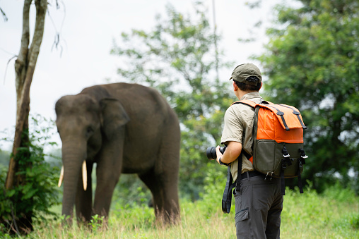 way kambas National Reserve Sumatra, Traveler photographer taking pictures of elephants in forest